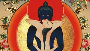 In the Heart of the Lotus